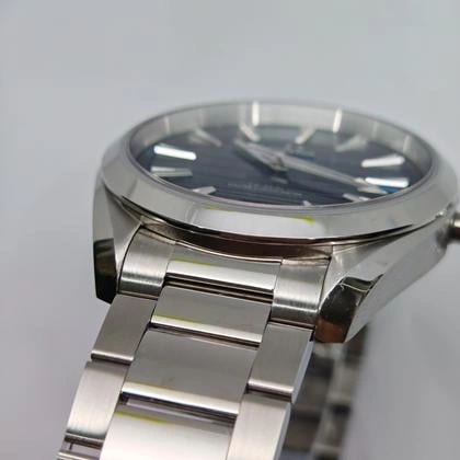 Omega Seamaster Aqua Terra 38 - Vue boîtier