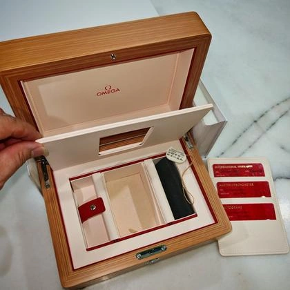 Omega Seamaster Aqua Terra 38 - Vue de face